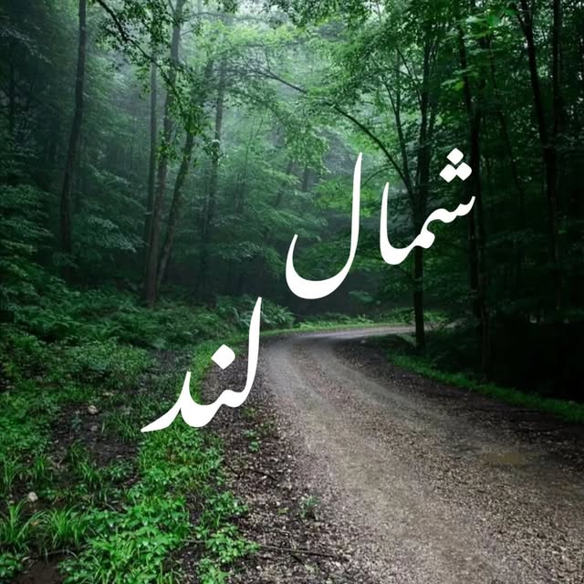 @shomal_lands profile picture