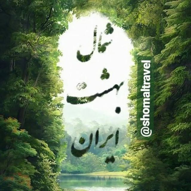 @shomaltravel profile picture