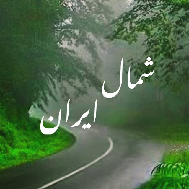 @shomaltraveling profile picture