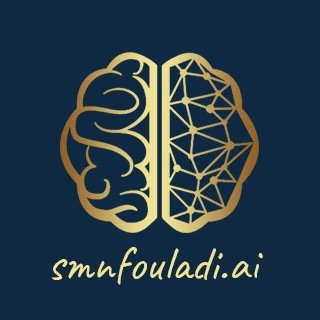 @smnfouladi.ai profile picture