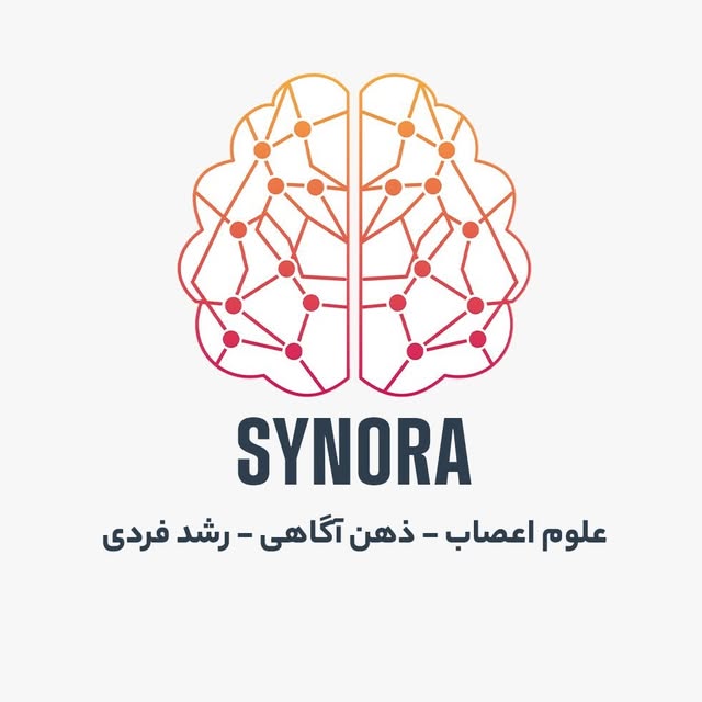 @synora.hub profile picture