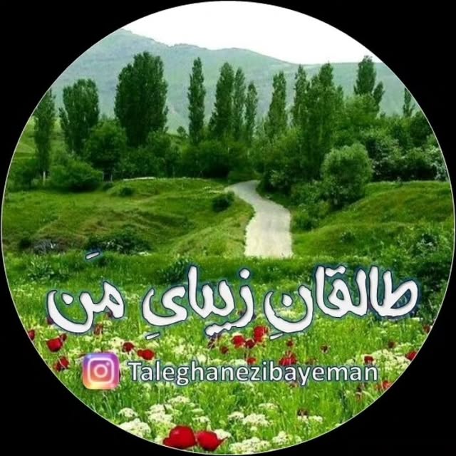 @taleghanezibayeman profile picture