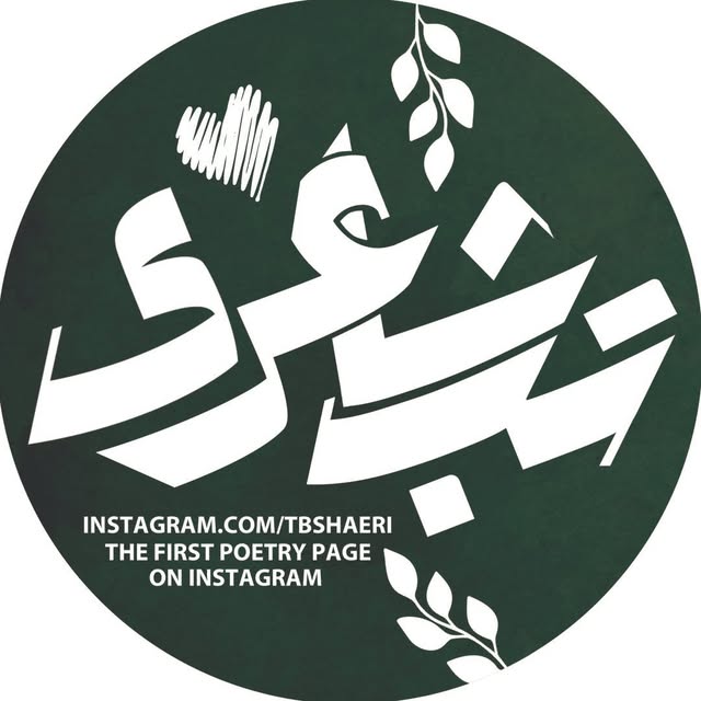 @tbshaeri profile picture