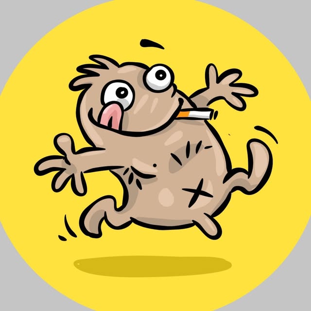 @tomasdoolabi profile picture