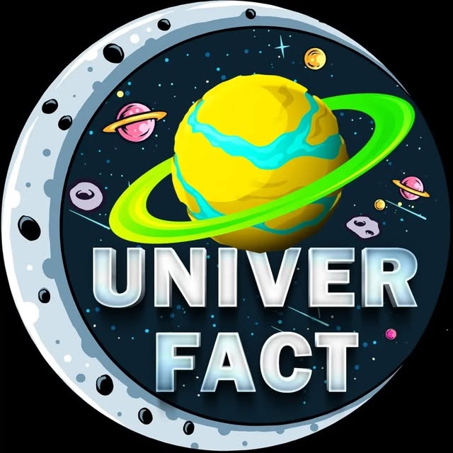 @univer.fact profile picture