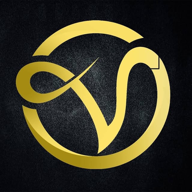 @voltrik profile picture