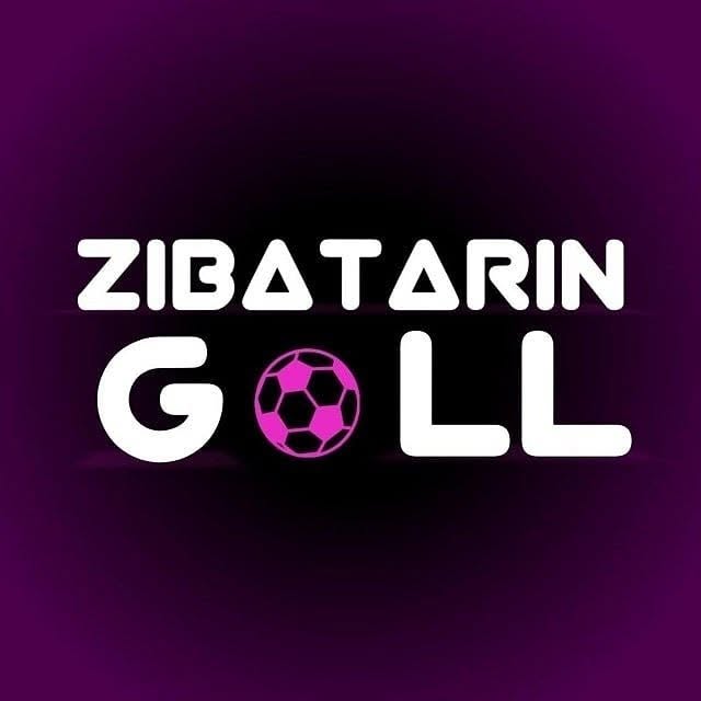 @zibatarin.goll profile picture