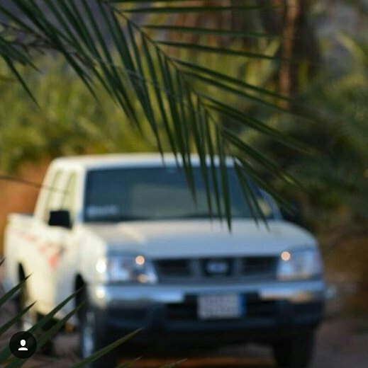 Instagram post -ealG8PSFV