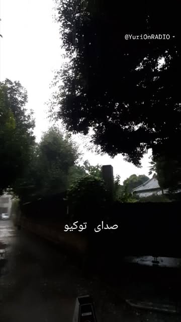 پست اینستاگرام C--Yev_Pfk_