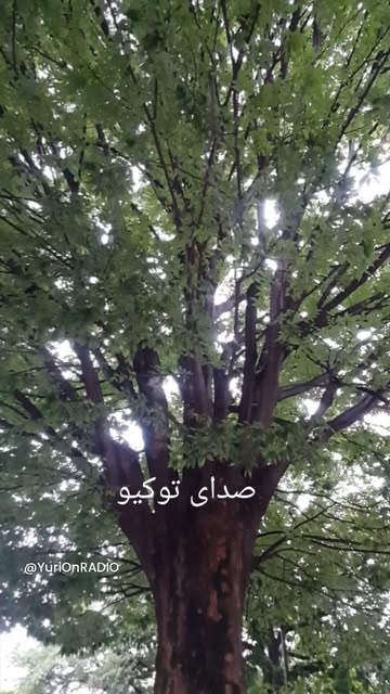 پست اینستاگرام C-VBtorPzJ1