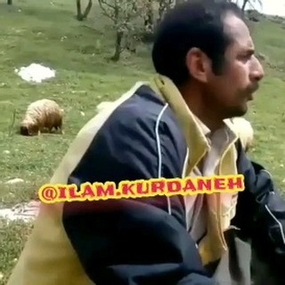 پست اینستاگرام C-f4PFfNiGJ