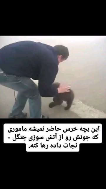 پست اینستاگرام C0mhk4oKydf