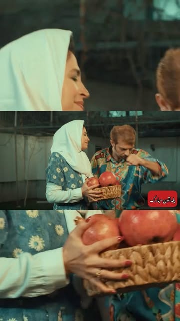پست اینستاگرام C1IOvgcL5Du