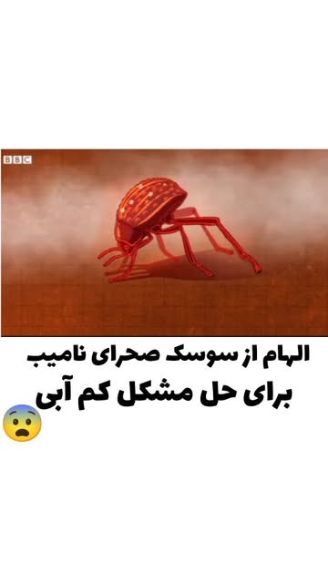 پست اینستاگرام C556hEpLsQm