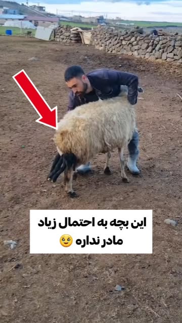پست اینستاگرام C898vZURkv4