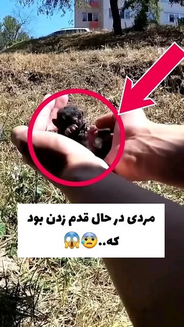 پست اینستاگرام C_S91-ApM2p