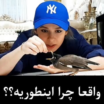 پست اینستاگرام CifafxYjNCm
