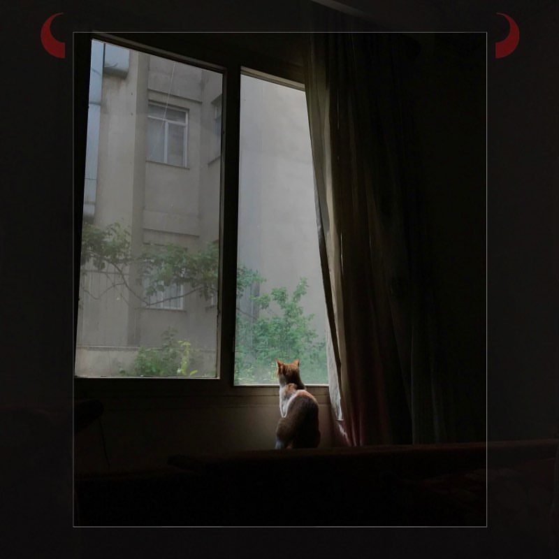 پست اینستاگرام Cp4s5jiNNkL