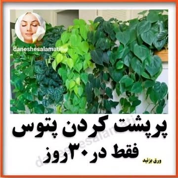 پست اینستاگرام CvEq_BQN6Vh