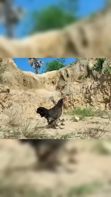 پست اینستاگرام DCCyNBJIqXf
