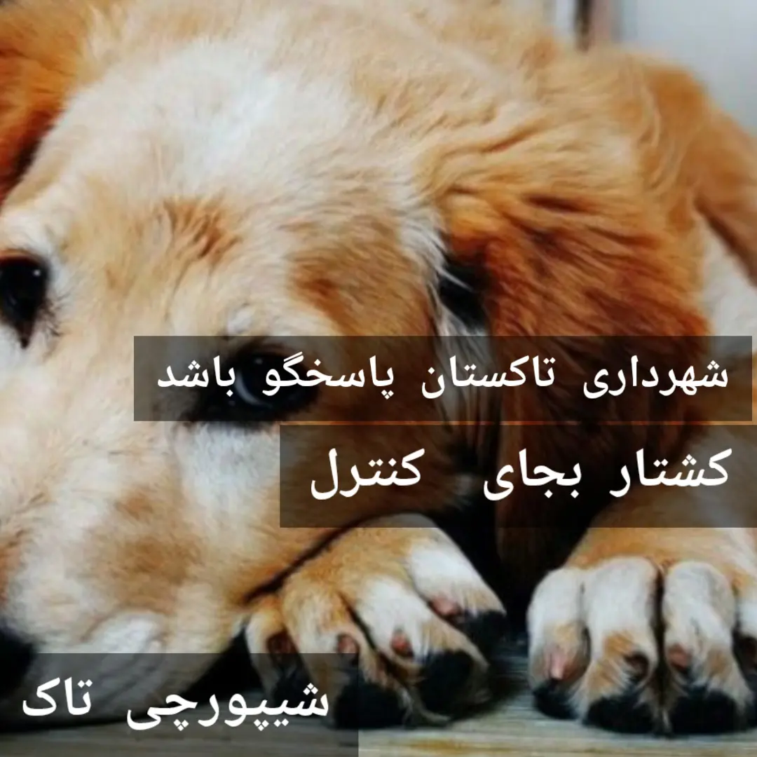 پست اینستاگرام DCecIbJMgdP