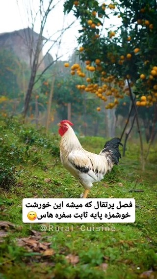 پست اینستاگرام DCrTQHyg5XC