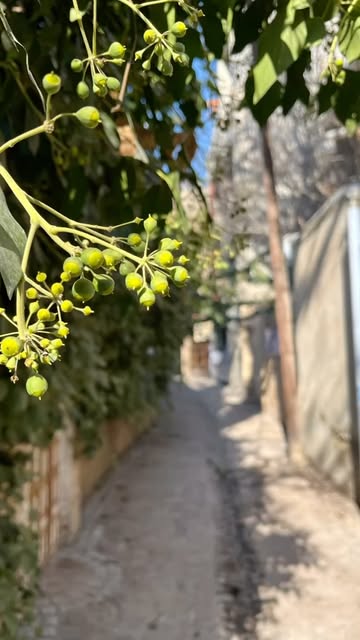 پست اینستاگرام DDfH-YAIJZB