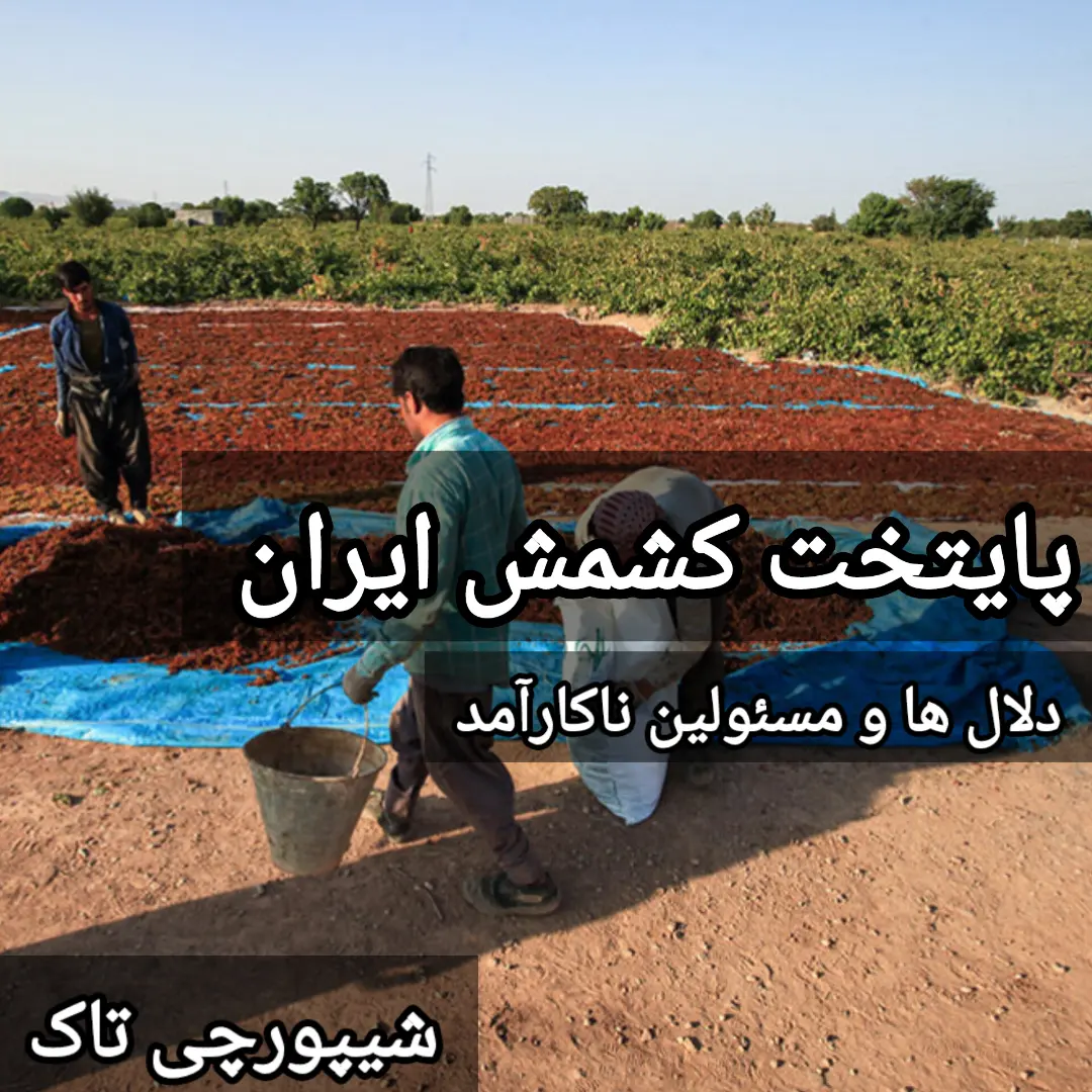 پست اینستاگرام DEHFHy2N0NB
