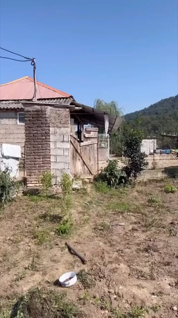 پست اینستاگرام DF-uFAmsDhb