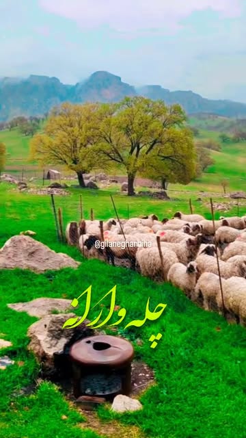 پست اینستاگرام DII1wTmNDW0