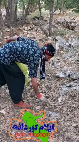 پست اینستاگرام DJfGDQltIjk