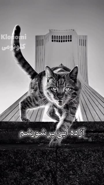 پست اینستاگرام DK9oYB6NlPJ