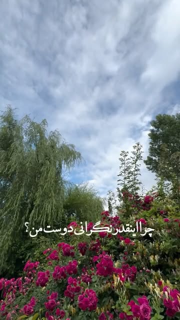 پست اینستاگرام DKtc7OCIA8o