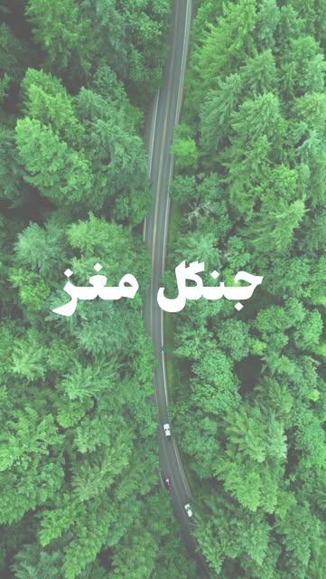 پست اینستاگرام DLcwOaAiEW6