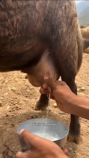 پست اینستاگرام DMZNo1IJtW2