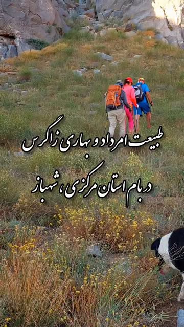 پست اینستاگرام DMh1cZHi8Pq