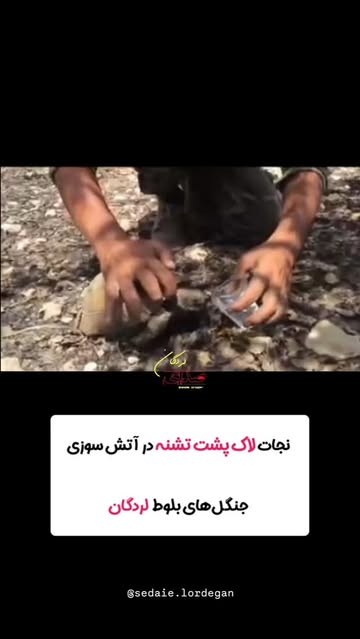 پست اینستاگرام DMngC7niFJX