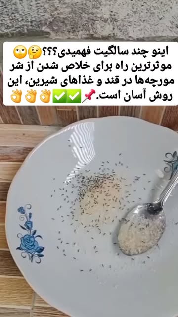 پست اینستاگرام DPWtJ32jS6q