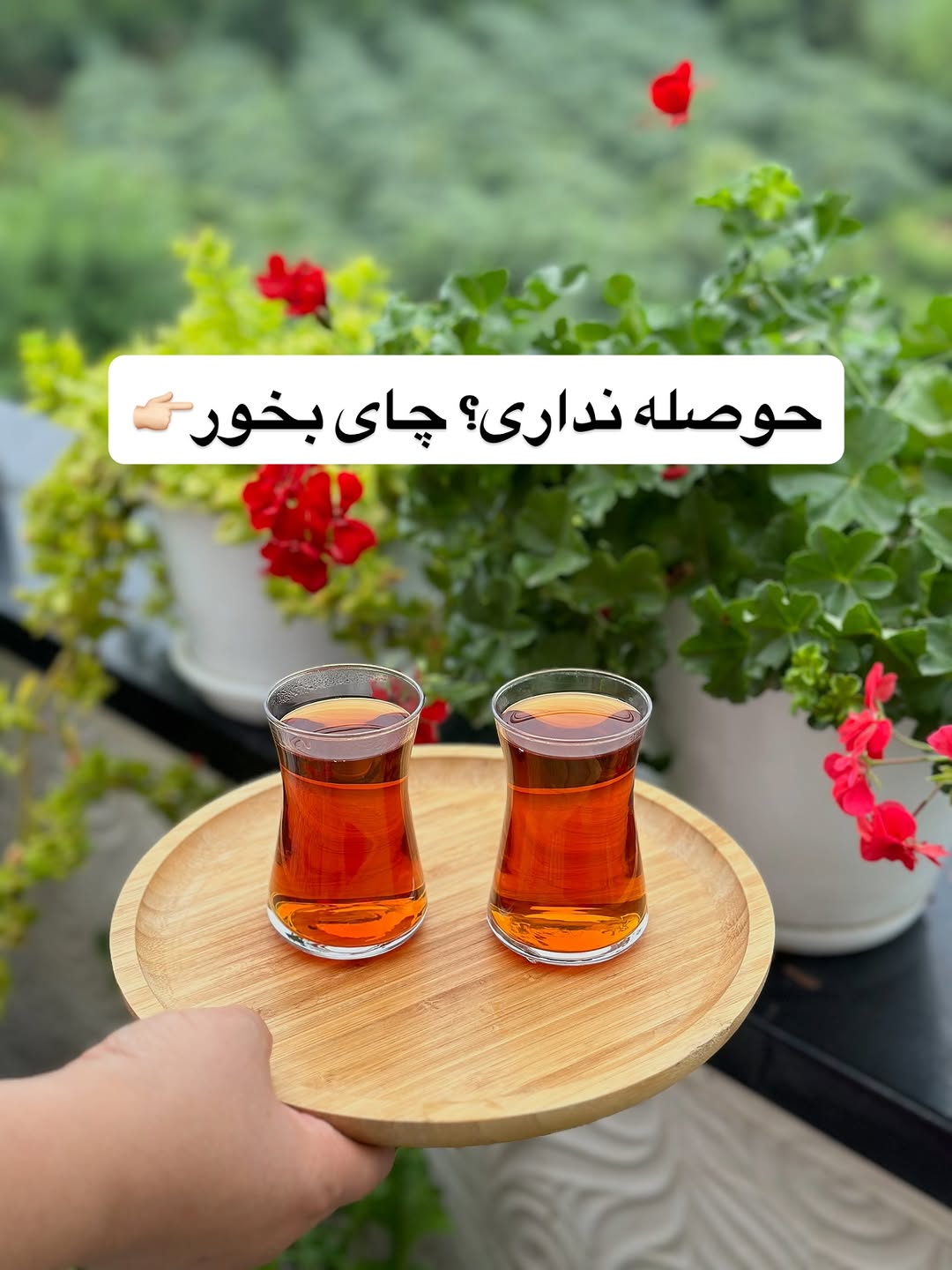 پست اینستاگرام DP_CT6FDdGy