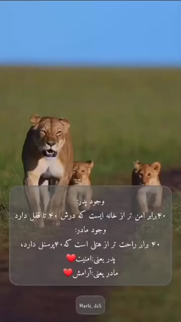 پست اینستاگرام DPdL-6rjWi9
