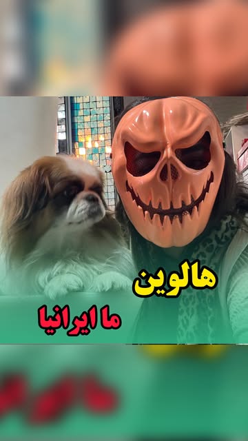 پست اینستاگرام DQceyxgCfwP