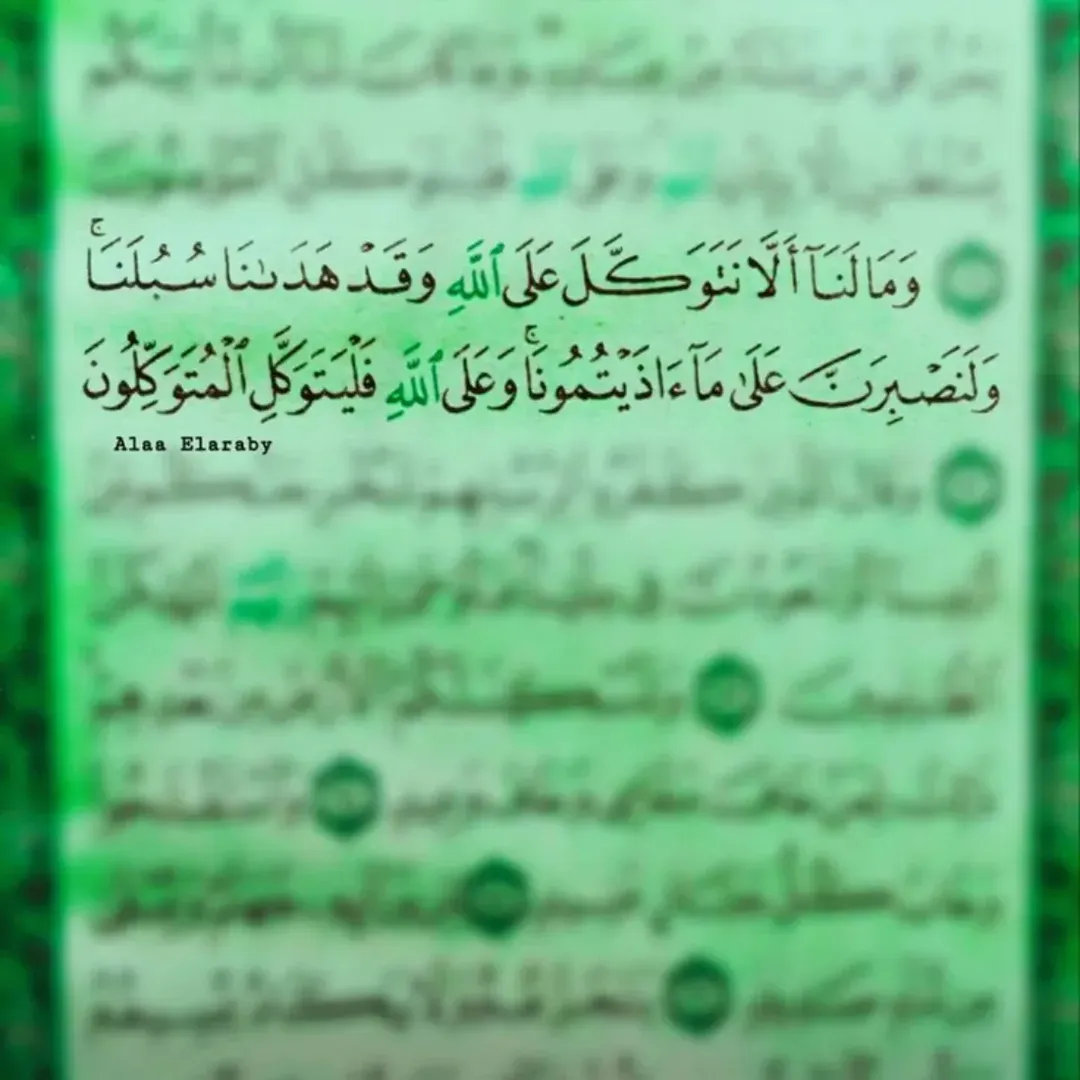 پست اینستاگرام DR2uLRTjBUt