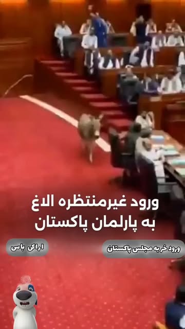 پست اینستاگرام DR4tPjNgL1s