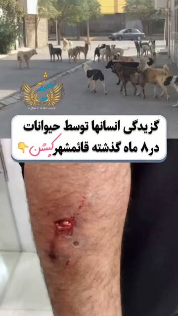 پست اینستاگرام DRJReRxCMuU