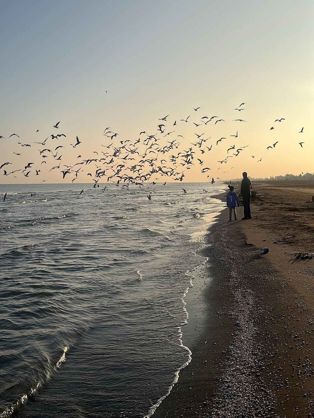 پست اینستاگرام DRQ8VLQjOml