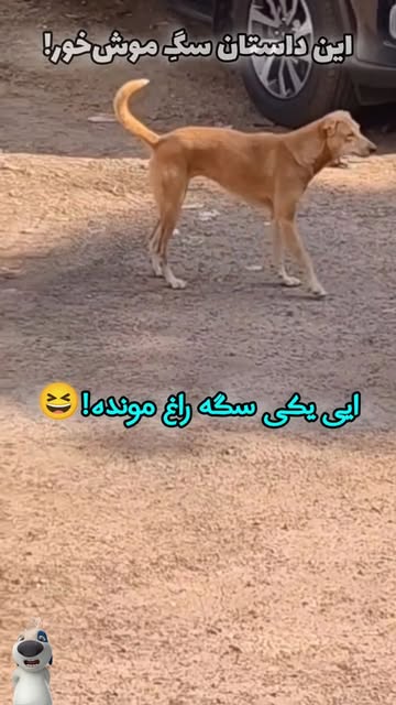 پست اینستاگرام DRUklEogErl