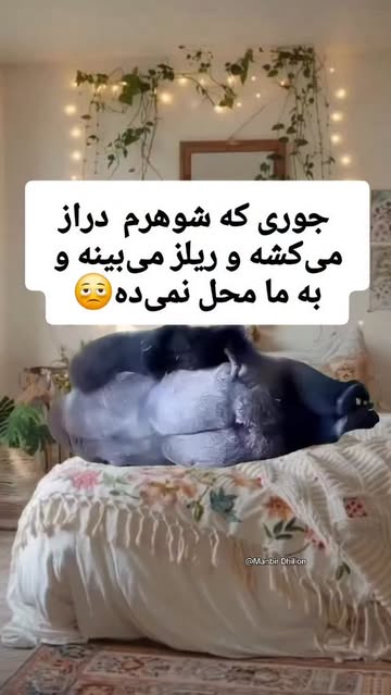 پست اینستاگرام DSDdVCajYFh