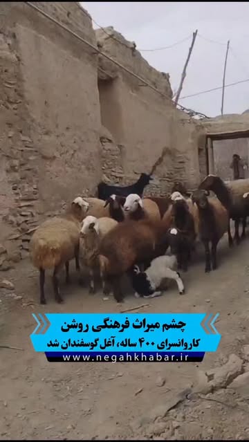 پست اینستاگرام DSFU6QjDGHQ