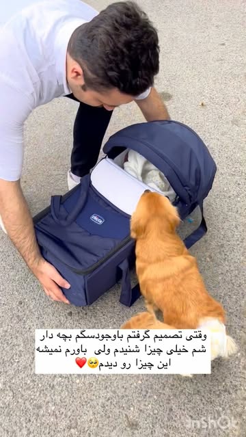 پست اینستاگرام DSR5E8TjHtP