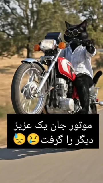 پست اینستاگرام DSRld5RiKLF
